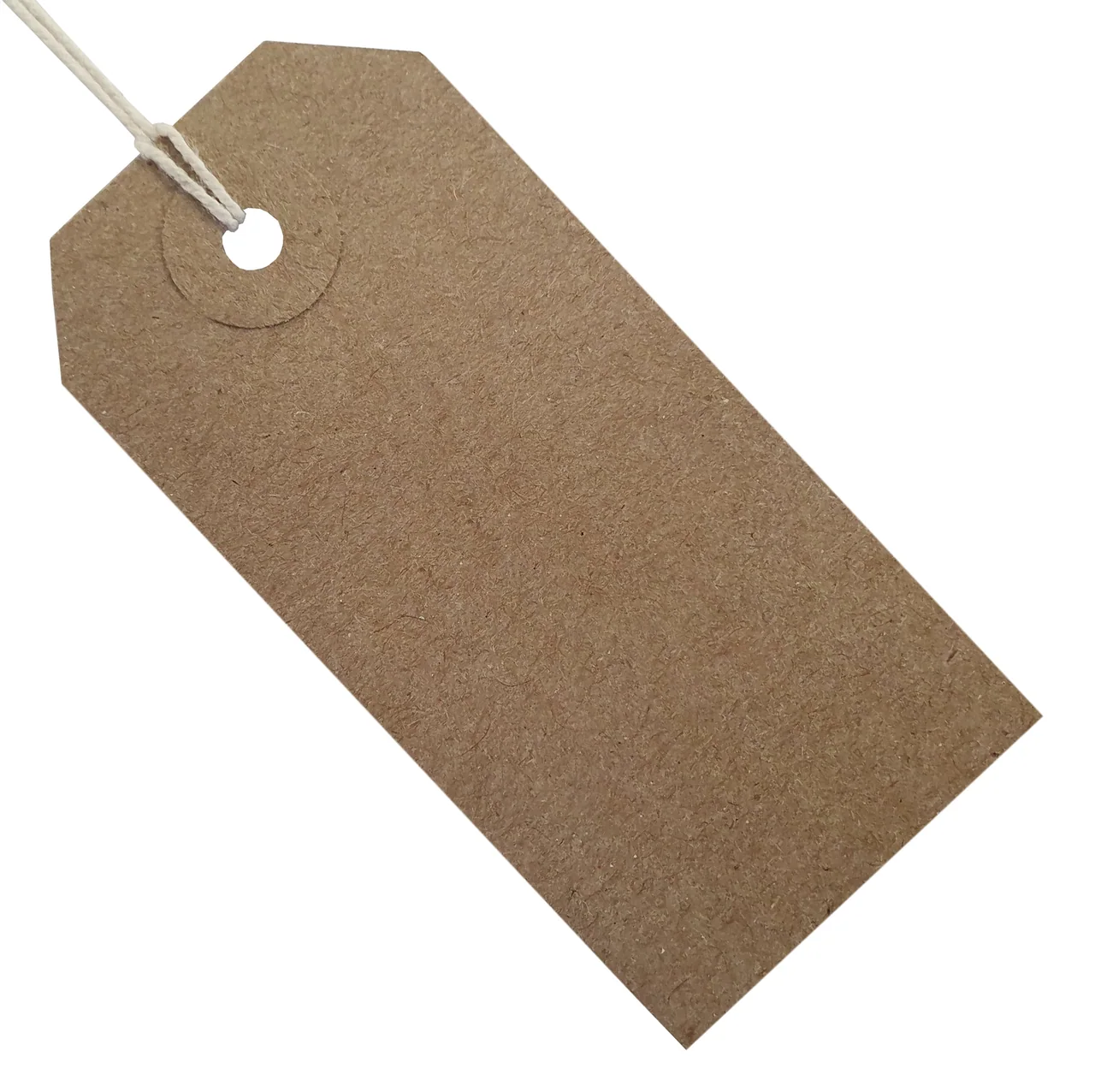 A blank kraft paper hangtag with a reinforced hole and cotton string.