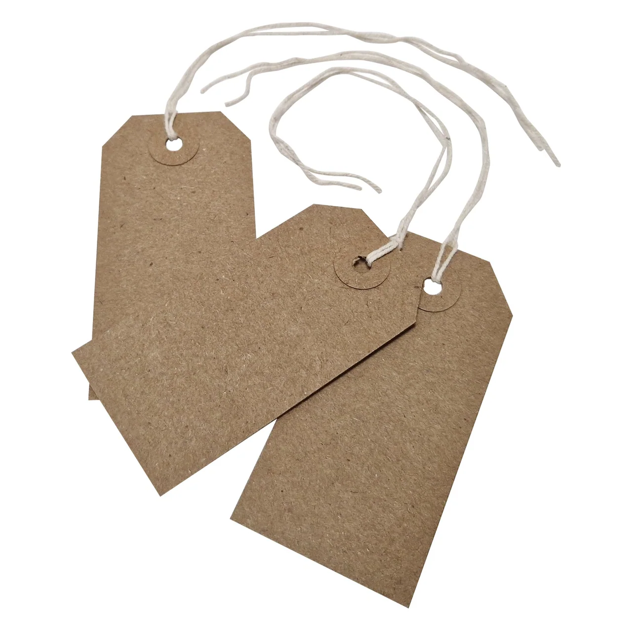 Three blank kraft paper hangtags showing their punched holes and string attachments.